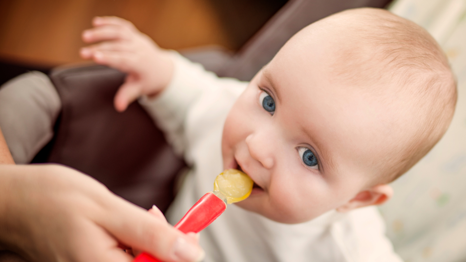 Starting Solids