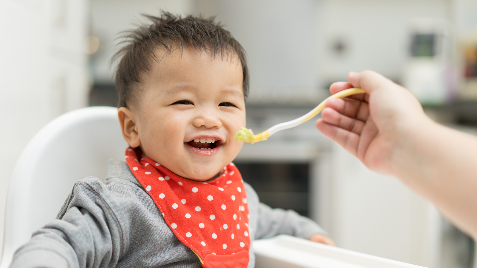 Updated ASCIA Guideline aims to reduce food allergy risk in infants
